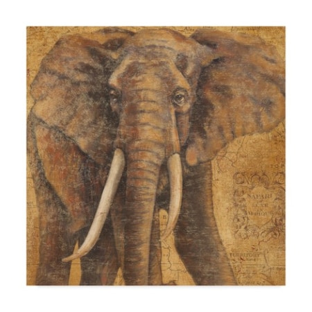 Naomi Mcbride 'Grand Elephant' Canvas Art,14x14